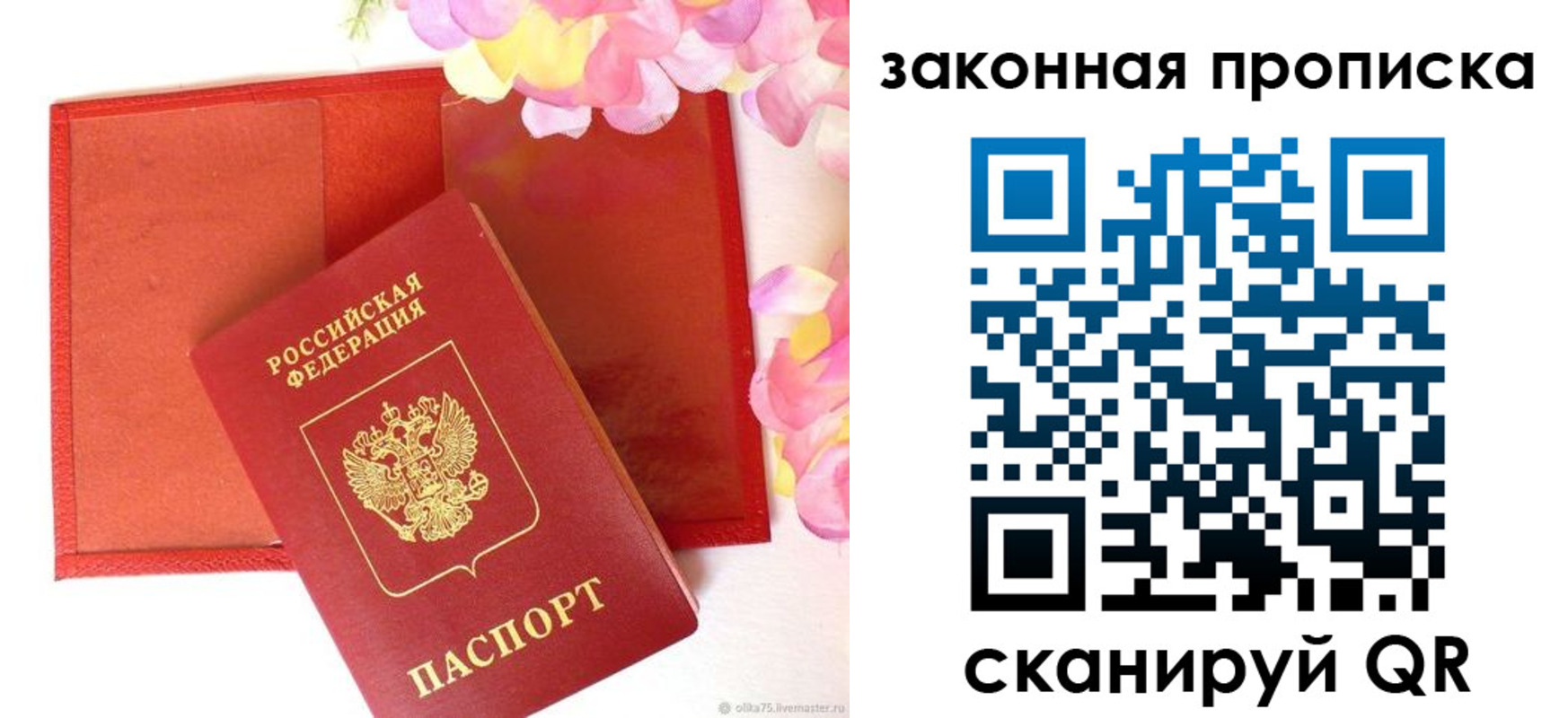 регистрация для школы в Ленинградской области